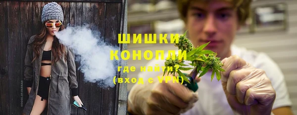 стаф Медногорск