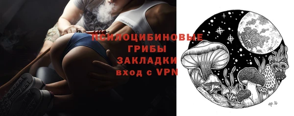 альфа пвп Медвежьегорск