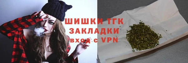 стаф Медногорск