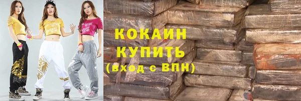 стаф Медногорск