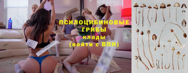 альфа пвп Медвежьегорск